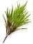 Yapay Bitki Saz Demeti 75 cm 2