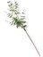Yapay Okaliptus Tek Dal 93 cm 3