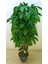 Yapay Ağaç Ceviz Ağacı 180cm 1