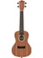 LU21-C Concert Ukulele 1