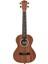 LU21-T Tenor Ukulele 1