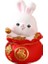 Yaratıcı Tavşan Kavanoz Vinil Kumbara (Yurt Dışından) 1