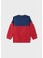 Erkek Çocuk Sweatshirt Iki Renkli 3
