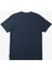 Qs Rushed Logo Dna Erkek T-shirt AQYZT09605-17726 AQYZT09605-17726018 5