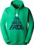 The North Face M Mountaın Play Hoodıe Erkek Sweat Shirt NF0A87EJPO81 1