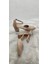 Çiğdem Nude Deri Bilekten Bağlı Sivri Burun Topuklu Ayakkabı (Kdrekc) - Nude - 39 - ST02642-13421 4