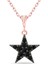 925 Ayar Rose Kaplamalı Siyah Taşlı Yıldız Gümüş Kolye 1