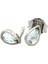 Quartz Taşlı Damla Model Beyaz Küpe 1