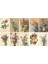 Buket Çiçekler Temalı Kartpostal Seti (10X15 cm 10 Adet) 1