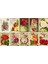 Gül Temalı Kartpostal Seti (10X15 cm 10 Adet) 1
