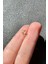 Nature Zirkon Taşlı Altın Renk Halka Fiyonk Piercing 2