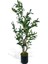 Yapay Çiçek Zeytin Ağacı Doğal Gövdeli Galvaniz Siyah Saksıda 95CM Yapay Ağaç 1