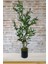 Yapay Çiçek Zeytin Ağacı Doğal Gövdeli Galvaniz Siyah Saksıda 95CM Yapay Ağaç 3