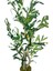 Yapay Çiçek Zeytin Ağacı Doğal Gövdeli Galvaniz Siyah Saksıda 95CM Yapay Ağaç 4