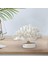 Modern Simülasyon Taban Oturma Odası Tezgahı 12.5CMX23CMX12CM (Yurt Dışından) 4