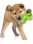 Köpek Diş Çıkarma Temizleme Diş Fırçası Oyuncak, Küçük ve Orta Köpekler Için Dayanıklı Cızırtılı Interaktif Denizyıldızı Köpek Oyuncak (Yurt Dışından) 3