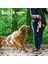 Köpek Peluş Oyuncakları - Gıcırtılı, Pamuk Malzemeli ve Buruşuk Kağıtlı Köpek Çiğneme Oyuncağı, Yavru Köpekler ve Küçük Köpekler (Kaplan) Için Interaktif Oyuncaklar (Yurt Dışından) 3