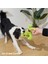 Köpek Oyuncakları, Küçük Orta Büyük Köpekler Için Gıcırtılı Doldurulmuş Köpek Oyuncakları, Açık Köpek Oyuncakları Interaktif Sert Halat Oyuncakları Kaktüs Şekli (Yurt Dışından) 5