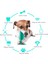 Köpek Diş Fırçası Cızırtılı Çiğneme OYUNCAKLARI–2020 Yükseltilmiş Sonic Yavru Diş Temizleme Çubuğu - Doğal Kauçuk Diş Bakımı Diş Fırçası, 2pcs Saman Temizleme Ile, Mavi (Yurt Dışından) 2