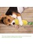 Köpek Çiğneme Oyuncakları, Köpek Diş Fırçası Temiz Dişler Interaktif Mısır Oyuncakları, Köpek Oyuncakları Agresif Çiğneme Makineleri Küçük Orta Büyük Cins (Yeşil) (Yurt Dışından) 4