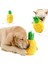 Sevimli Ananas Köpek Koklama Oyuncak, Peluş Cızırtılı Snuffle Eğitim Evcil Hayvan Oyuncak, Yavru Kedi Için Interaktif Bulmaca Iq Cırlak Oyuncak, Ilginç Köpek Oyuncak (Yurt Dışından) 1