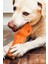 Agresif Çiğneme Makineleri Için Köpek Oyuncakları Büyük Orta Cins - Yıkılmaz Cırlak Köpek Oyuncakları Köpek Çiğneme, Dayanıklı Köpek Diş Fırçası Oyuncakları (Turuncu) (Yurt Dışından) 4