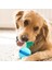 Köpek Interaktif Oyuncak, Köpek Azı Dişleri Diş Temizleme Topu Oyuncaklar, Küresel Diş Fırçası Köpek Oyuncak, Küçük Orta Büyük Evcil Köpekler Için Takım (Mavi) (Yurt Dışından) 2