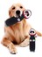 Köpek Peluş Oyuncaklar Köpek Oyuncakları Cızırtılı Köpek Oyuncakları Sıkıntı Için Interaktif Doldurulmuş Köpek Oyuncakları Küçük Orta Köpekler Için (Yurt Dışından) 3