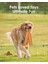 Ahtapot Hiçbir Doldurulmuş Buruşuk Peluş Köpek Köpek Diş Çıkarma, Evcil Hayvan Eğitimi ve Eğlence Için Çiğneme Oyuncak Dayanıklı Interaktif Köpek Oyuncak (Turuncu) (Yurt Dışından) 4