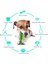 Köpek Diş Fırçası Gıcırtılı Çiğneme OYUNCAKLARI–2020 Yükseltilmiş Sonic Yavru Diş Temizleme Çubuğu - Doğal Kauçuk Diş Bakımı Diş Fırçası, 2pcs Saman Temizleme Ile, Yeşil (Yurt Dışından) 2