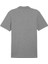 Teamgoal Casuals Polo Erkek Futbol Antrenman Polo Tişörtü 65860533 Gri 2