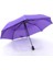 Hss Tam Otomatik Çanta Boy Kahverengi Şemsiye-Mor (Yurt Dışından) 5