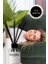 Oda Kokusu Amber romantik bambu çubuklu Oda Kokusu esansiyel uçucu yağ reed diffuser 120ml 2
