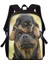 HBCS000054Z87 15 Inç Hycool Bulldog Husky Köpek Alman Çoban Boston Terrier Baskı Sırt Çantası Çocuklar Genç Bookbag Okul Çantası Çocuk Bolsas (Yurt Dışından) 2