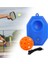 Pickleball Eğitmeni Taşınabilir Çocuklar ve Pickleball Pickleball Aksesuarları (Yurt Dışından) 5