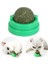 Catnip Kedi Naneli Yalama Topu 2