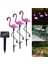 Xhang 3 Adet / Takım Flamingo Figür LED Güneş Işıkları - Pembe (Yurt Dışından) 1