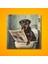Tekli Kare Kanvas Banyo Tablosu Gazete Okuyan Rottweiler Köpek 3