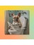 Tekli Kare Kanvas Banyo Tablosu Gazete Okuyan French Bulldog Köpek 3