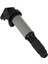 Ateşleme Bobini Bmw E46 E53 E60 E70 E71 E90 323I 325I 535I X3 12131712219 (Yurt Dışından) 3