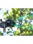 Mavic3 Pro Lens Hood Royal 3 Pro Gimbal Koruyucu Güneş Karşıtı Kapak Çok Fonksiyonlu Aksesuarlar Için (Yurt Dışından) 5