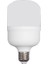 5m LED Ampül 40W 6500K 1