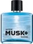Musk Marine Erkek Parfüm 1