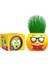 Çim Adam 4 Adet Yeni Nesil Kutulu Emoji Şekiller Parti Hediyelik Okul Öğrenci Karne Hediyeleri 3