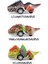 3 Adet Dinozor Oyuncakları Mini Dinozor Arabaları Oyuncak Çek Bırak Dinozor Figürleri Yang-Gigand-Dilop 2