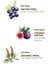 Wild Fig 150 ml Eau De Cologne - Cam Şişe 4
