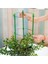 Bahçe Balkon Bitkisi Çiçek Kafes-6 x Bitki Saksı Destek Çerçevesi-Yeşil (Yurt Dışından) 1