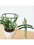 4 Adet Bahçe Tesisi Destek Kafesi Kat Çiçek Standı Tutucu Bahçecilik Bonsai Aracı Güneş Işığı Süper Mağaza (Yurt Dışından) 4