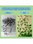 100 Adet Bitki Tırmanma Duvarı Fikstürü Klip Bahçe Yeşil Yaprak Braketi (Yurt Dışından) 5