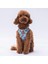 Air-Mesh Bears Köpek Göğüs Tasması 1